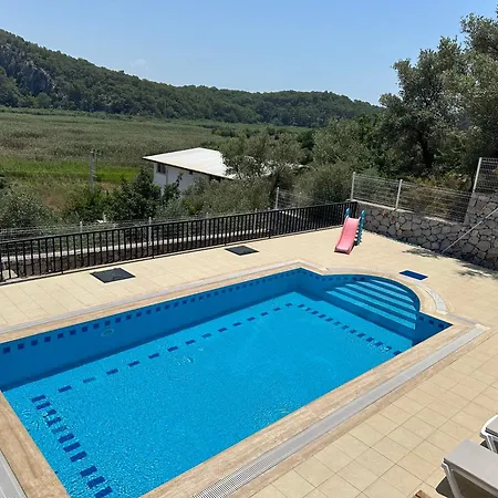 Sarisli 1